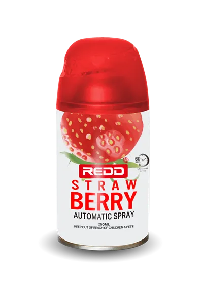 천연 공기 청정제